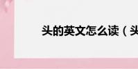 頭的英文怎么讀(頭的英文)