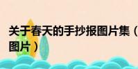 關于春天的手抄報圖片集(關于春天的手抄報圖片)