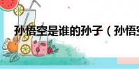 孫悟空是誰的孫子(孫悟空是誰的孩子)