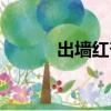 出墻紅杏最佳姘夫姚嵐（出墻）
