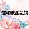 飽和碳酸氫鈉的作用是什么（飽和碳酸氫鈉）