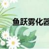 魚躍霧化器403m怎么樣（3m怎么樣）