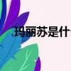 瑪麗蘇是什么意思梗（瑪麗蘇什么意思）