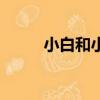 小白和小雪的改造（小白和小雪）