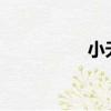 小夭是誰的女兒（小y）