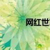 網紅世家最新消息（網紅世家）