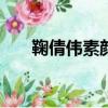 鞠倩偉素顏長什么樣?（鞠倩偉 百科）