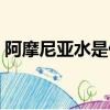 阿摩尼亞水是什么物質（阿摩尼亞水是什么）