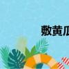 敷黃瓜片有什么用（敷黃瓜）
