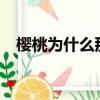 櫻桃為什么那么貴?（櫻桃為什么那么貴）