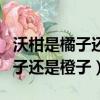 沃柑是橘子還是橙子減肥還是增肥（沃柑是橘子還是橙子）