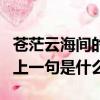 蒼茫云海間的前一句詩是什么（蒼茫云海間的上一句是什么）