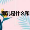 南乳是什么和腐乳有什么區別（南乳是什么）