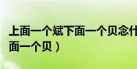 上面一個斌下面一個貝念什么(上面一個斌下面一個貝)