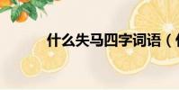 什么失馬四字詞語(什么失馬)