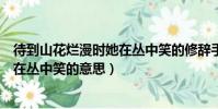 待到山花爛漫時她在叢中笑的修辭手法(待到山花爛漫時她在叢中笑的意思)