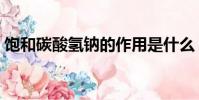 飽和碳酸氫鈉的作用是什么(飽和碳酸氫鈉)