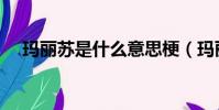 瑪麗蘇是什么意思梗(瑪麗蘇什么意思)