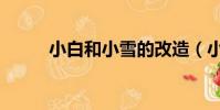 小白和小雪的改造(小白和小雪)