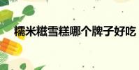 糯米糍雪糕哪個牌子好吃(糯米糍雪糕)