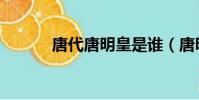 唐代唐明皇是誰(唐明皇是誰)