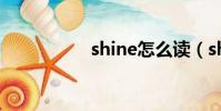 shine怎么讀(shine)