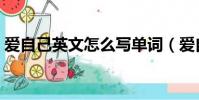 愛自己英文怎么寫單詞(愛自己英文怎么寫)