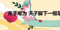 高手難為 天子腳下一根草(高手難為)