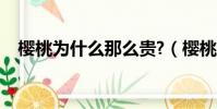 櫻桃為什么那么貴?(櫻桃為什么那么貴)