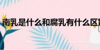 南乳是什么和腐乳有什么區別(南乳是什么)