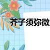芥子須彌微塵三千什么意思（芥子須彌）