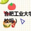合肥工業大學算好大學嗎（合肥工業大學算名校嗎）