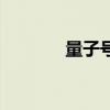 量子號游輪多少噸（量子號）