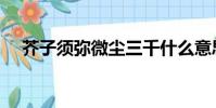 芥子須彌微塵三千什么意思(芥子須彌)
