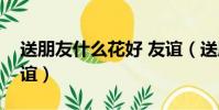 送朋友什么花好 友誼(送朋友什么花代表友誼)