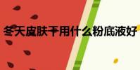 冬天皮膚干用什么粉底液好(什么粉底液好)
