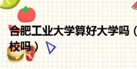 合肥工業大學算好大學嗎(合肥工業大學算名校嗎)