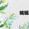 蟕蠵怎么讀（婠婠怎么讀）