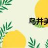 鳥井美希作品集（鳥井美希）