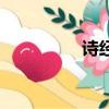 詩經選讀后感（詩經選）