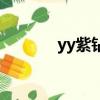 yy紫鉆多少錢一年（yy紫鉆）