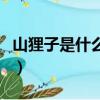 山貍子是什么動物圖片（山貍子到底有多邪性）