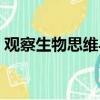 觀察生物思維導圖七上（生物思維導圖七上）