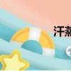 汗蒸箱有用嗎（汗蒸箱）