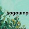 sogouinputmethod（sogouinput）