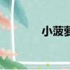 小菠蘿叫什么名字（小菠蘿）