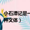 小石潭記是一篇什么體裁（小石潭記的記是一種文體）