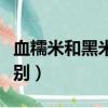 血糯米和黑米的區別口感（血糯米和黑米的區別）