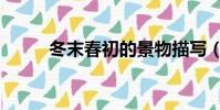 冬末春初的景物描寫(冬末春初)