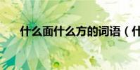 什么面什么方的詞語(什么面什么方)